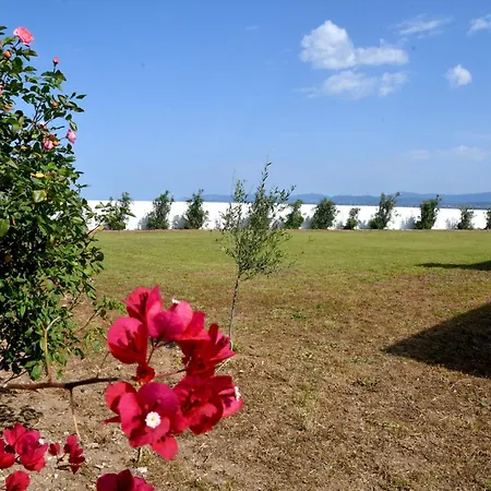 Doctor S Estate χαλκίδα